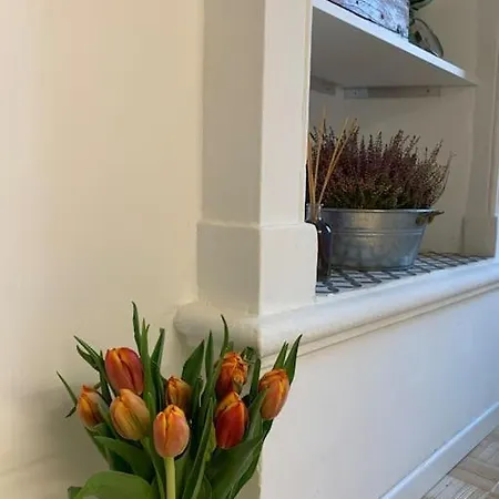 New And Romantic Flat 度假居 *